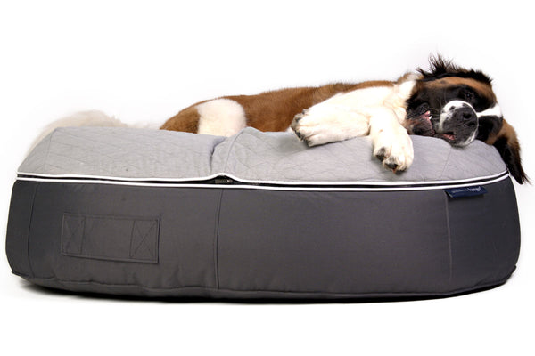 Pet Lounge Dog Beds