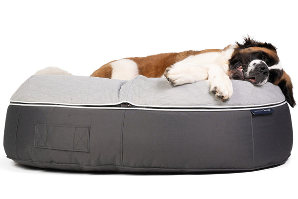 Pet Lounge Dog Bed in Supernova - CoolQuilt - XXL (Easy-Clean, Pet-Friendly, In/Outdoor)