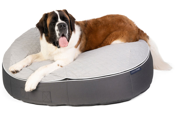 Pet Lounge Dog Bed in Supernova - CoolQuilt - XXL (Easy-Clean, Pet-Friendly, In/Outdoor)