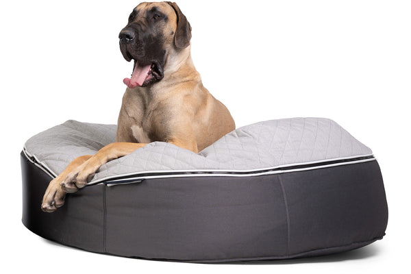 Pet Lounge Dog Bed in Supernova - CoolQuilt - XXL (Easy-Clean, Pet-Friendly, In/Outdoor)
