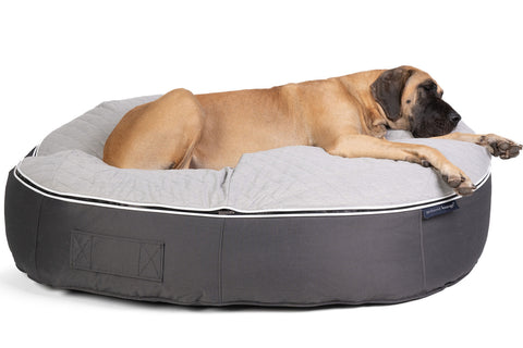 Pet Lounge Dog Bed in Supernova - CoolQuilt - XXL (Easy-Clean, Pet-Friendly, In/Outdoor)