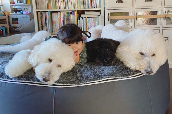 Pet Lounge Dog Bed in Supernova - Faux Fur - XXL (Easy-Clean, Pet-Friendly, In/Outdoor)