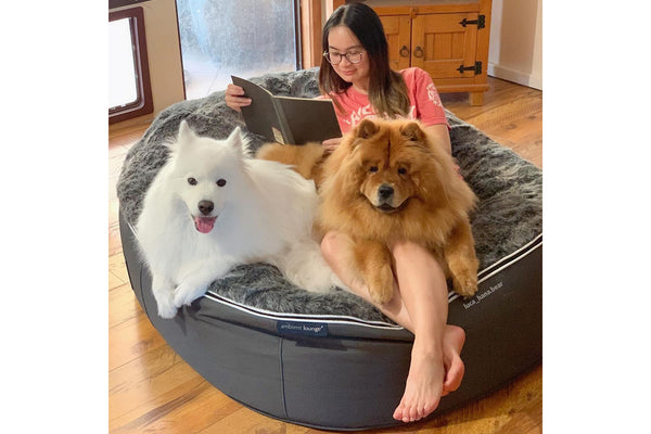 Pet Lounge Dog Bed in Supernova - Faux Fur - XXL (Easy-Clean, Pet-Friendly, In/Outdoor)