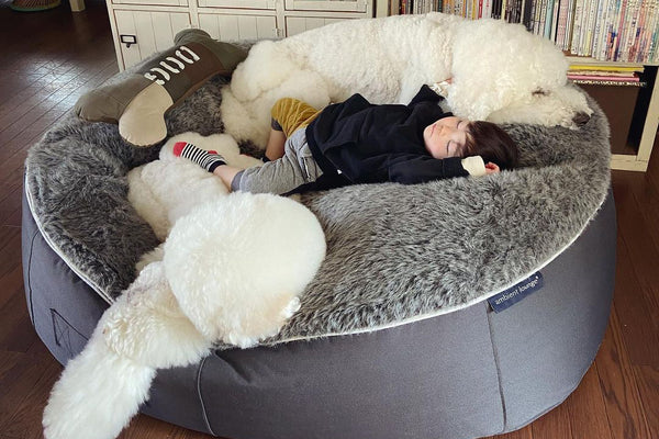 Pet Lounge Dog Bed in Supernova - Faux Fur - XXL (Easy-Clean, Pet-Friendly, In/Outdoor)