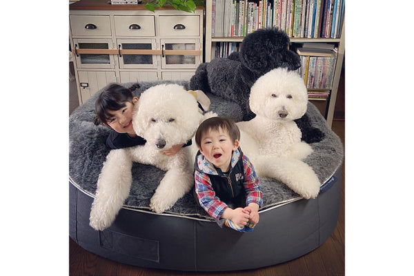 Pet Lounge Dog Bed in Supernova - Faux Fur - XXL (Easy-Clean, Pet-Friendly, In/Outdoor)