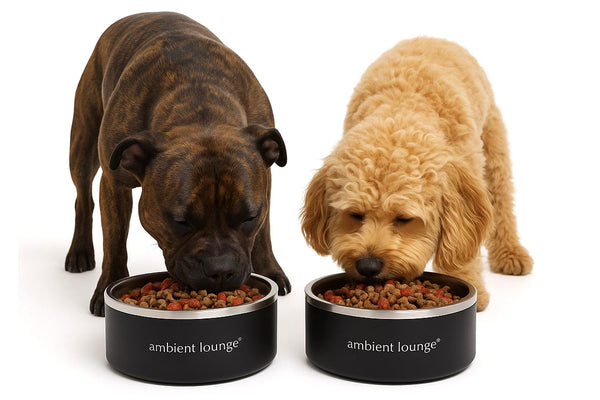 1L Double-Wall Stainless Steel Food & Water Dog Bowl (Set of 2)