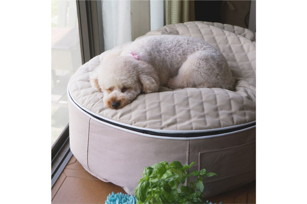 Pet Lounge Dog Bed in Cappuccino - CoolQuilt - Medium (Easy-Clean, Pet-Friendly, In/Outdoor)