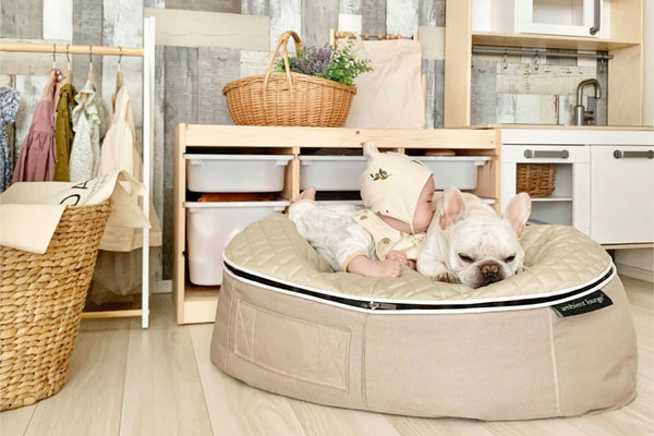 Pet Lounge Dog Bed in Cappuccino - CoolQuilt - Medium (Easy-Clean, Pet-Friendly, In/Outdoor)