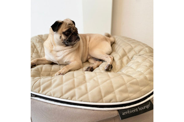 Pet Lounge Dog Bed in Cappuccino - CoolQuilt - Medium (Easy-Clean, Pet-Friendly, In/Outdoor)