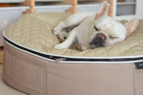 Pet Lounge Dog Bed in Cappuccino - CoolQuilt - Medium (Easy-Clean, Pet-Friendly, In/Outdoor)