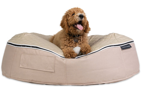 Pet Lounge Dog Bed in Cappuccino - CoolQuilt - Small (In/Outdoor)