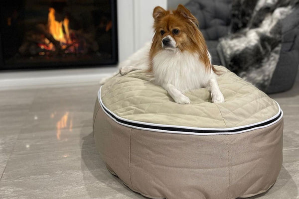 Pet Lounge Dog Bed in Cappuccino - CoolQuilt - Small (Easy-Clean, Pet-Friendly, In/Outdoor)