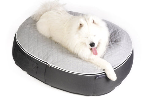 Pet Lounge Dog Bed in Supernova - CoolQuilt - Large (In/Outdoor)