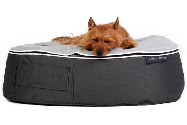 Pet Lounge Dog Bed in Supernova - CoolQuilt - Medium (In/Outdoor)