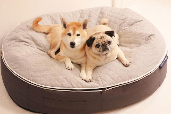 Pet Lounge Dog Bed in Supernova - CoolQuilt - Medium (Easy-Clean, Pet-Friendly, In/Outdoor)