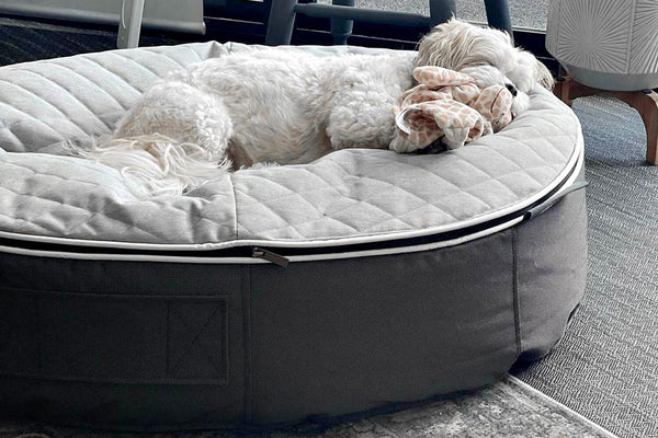 Pet Lounge Dog Bed in Supernova - CoolQuilt - Medium (Easy-Clean, Pet-Friendly, In/Outdoor)