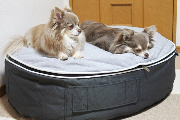 Pet Lounge Dog Bed in Supernova - CoolQuilt - Small (Easy-Clean, Pet-Friendly, In/Outdoor)