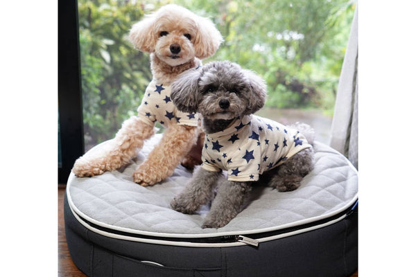 Pet Lounge Dog Bed in Supernova - CoolQuilt - Small (Easy-Clean, Pet-Friendly, In/Outdoor)