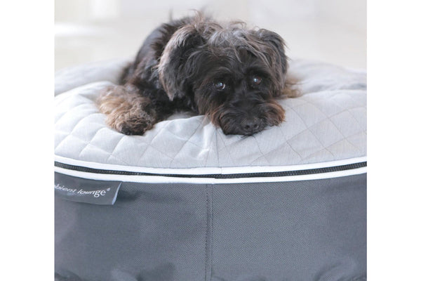 Pet Lounge Dog Bed in Supernova - CoolQuilt - Small (Easy-Clean, Pet-Friendly, In/Outdoor)