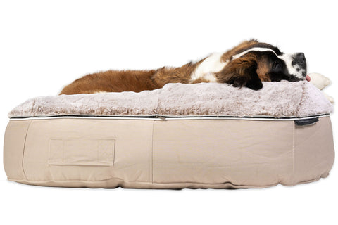 Pet Lounge Dog Bed in Cappuccino - Faux Fur - Large (In/Outdoor)