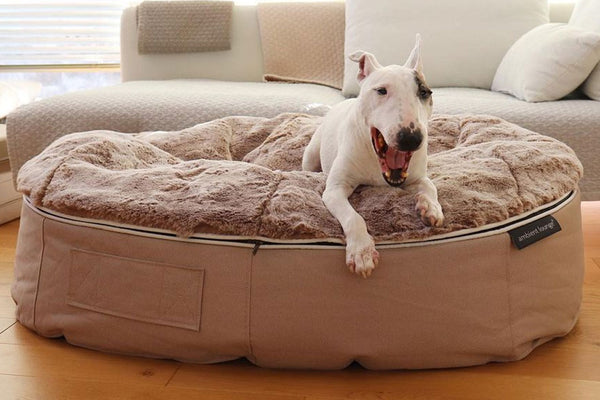 Pet Lounge Dog Bed in Cappuccino - Faux Fur - Large (Easy-Clean, Pet-Friendly, In/Outdoor)