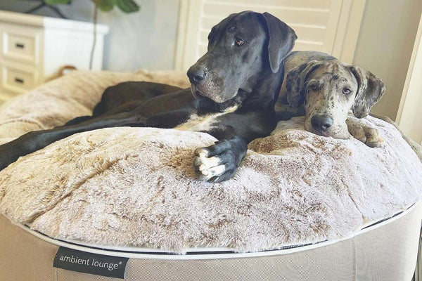 Pet Lounge Dog Bed in Cappuccino - Faux Fur - Large (Easy-Clean, Pet-Friendly, In/Outdoor)