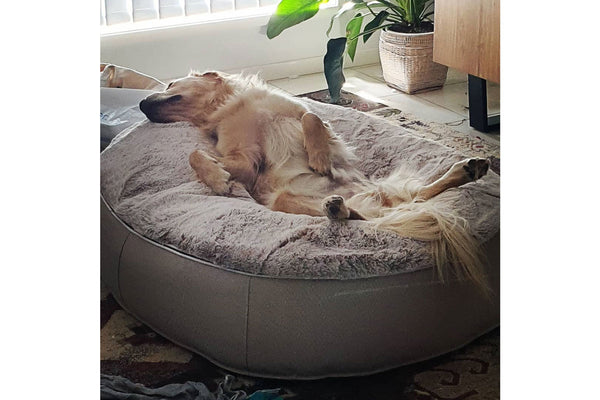 Pet Lounge Dog Bed in Cappuccino - Faux Fur - Large (Easy-Clean, Pet-Friendly, In/Outdoor)