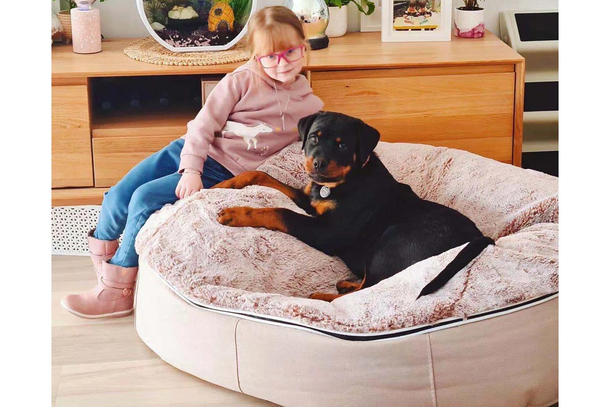 Comfy faux fur pet bed Clearance