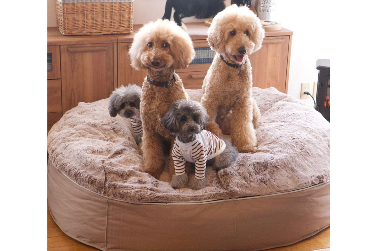 Luxury Beige Large Dog Bed with Lush Faux Fur Dog Bed Singapore