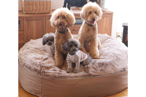 Pet Lounge Dog Bed in Cappuccino - Faux Fur - Large (Easy-Clean, Pet-Friendly, In/Outdoor)