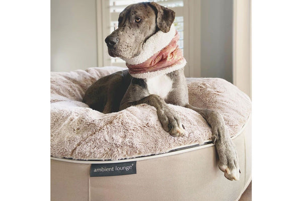 Pet Lounge Dog Bed in Cappuccino - Faux Fur - Large (Easy-Clean, Pet-Friendly, In/Outdoor)