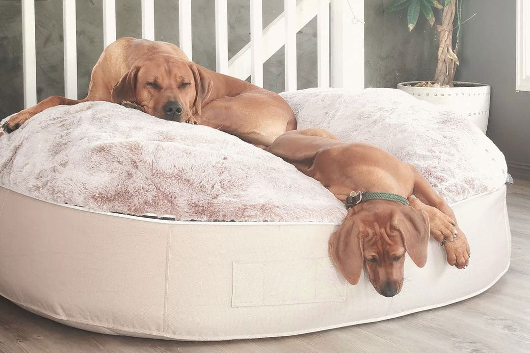 Comfy faux fur pet bed Clearance