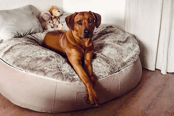 Pet Lounge Dog Bed in Cappuccino - Faux Fur - Large (Easy-Clean, Pet-Friendly, In/Outdoor)