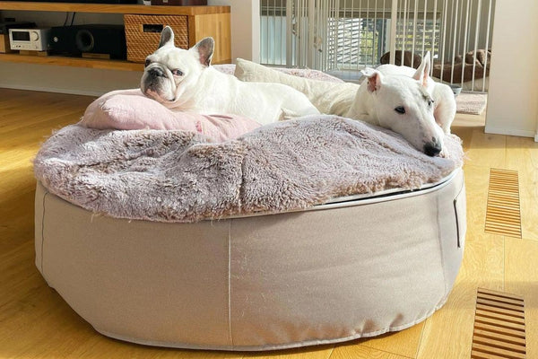 Pet Lounge Dog Bed in Cappuccino - Faux Fur - Large (Easy-Clean, Pet-Friendly, In/Outdoor)