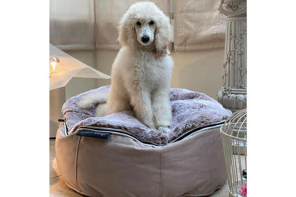 Pet Lounge Dog Bed in Cappuccino - Faux Fur - Large (Easy-Clean, Pet-Friendly, In/Outdoor)