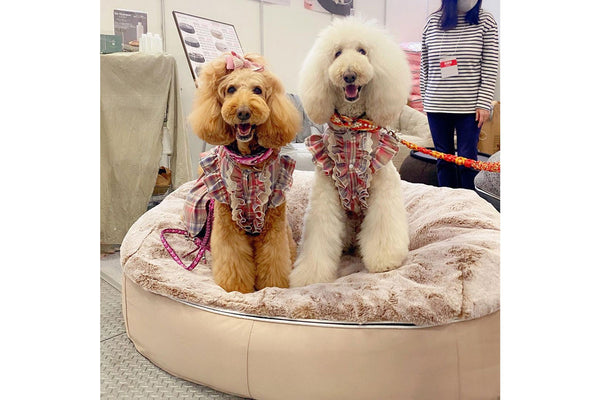 Pet Lounge Dog Bed in Cappuccino - Faux Fur - Large (Easy-Clean, Pet-Friendly, In/Outdoor)