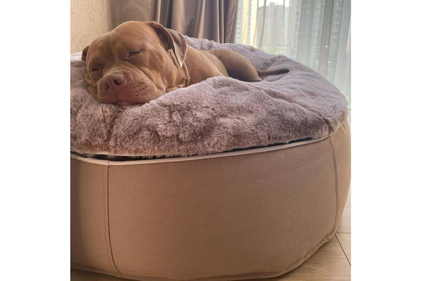 Pet Lounge Dog Bed in Cappuccino - Faux Fur - Large (Easy-Clean, Pet-Friendly, In/Outdoor)