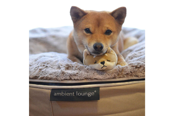 Pet Lounge Dog Bed in Cappuccino - Faux Fur - Medium (Easy-Clean, Pet-Friendly, In/Outdoor)