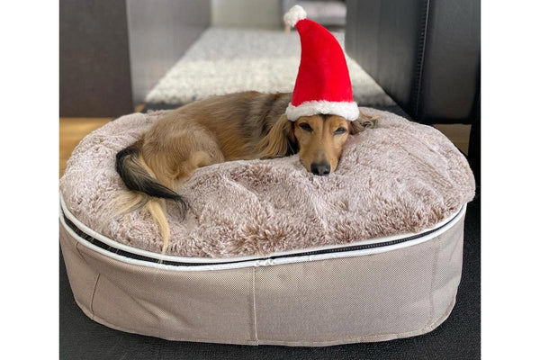 Pet Lounge Dog Bed in Cappuccino - Faux Fur - Medium (Easy-Clean, Pet-Friendly, In/Outdoor)