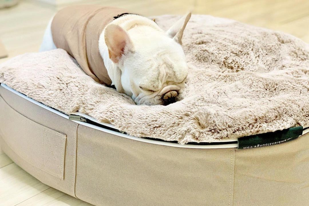 Pet Lounge Dog Bed in Cappuccino Faux Fur Medium Easy Clean Pet Friendly In Outdoor