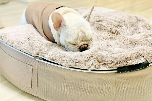 Pet Lounge Dog Bed in Cappuccino - Faux Fur - Medium (Easy-Clean, Pet-Friendly, In/Outdoor)