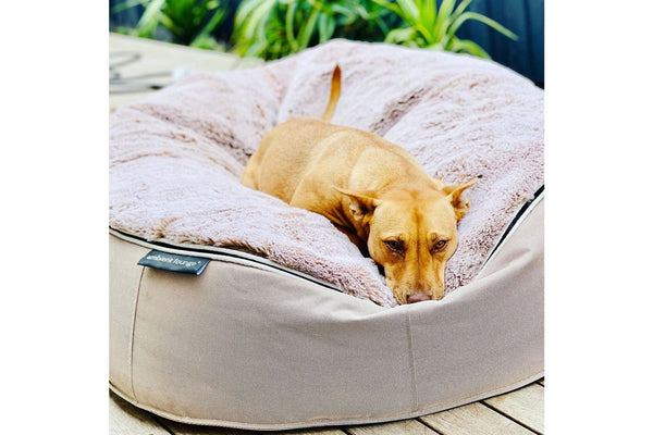 Pet Lounge Dog Bed in Cappuccino - Faux Fur - Medium (Easy-Clean, Pet-Friendly, In/Outdoor)