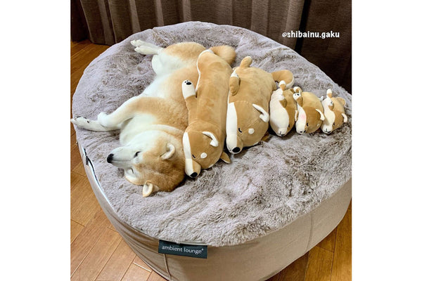 Pet Lounge Dog Bed in Cappuccino - Faux Fur - Medium (Easy-Clean, Pet-Friendly, In/Outdoor)