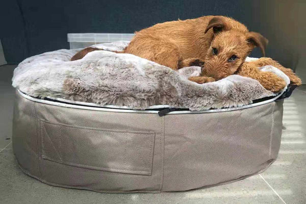 Pet Lounge Dog Bed in Cappuccino - Faux Fur - Medium (Easy-Clean, Pet-Friendly, In/Outdoor)