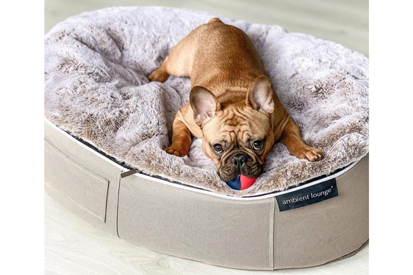 Pet Lounge Dog Bed in Cappuccino - Faux Fur - Medium (Easy-Clean, Pet-Friendly, In/Outdoor)