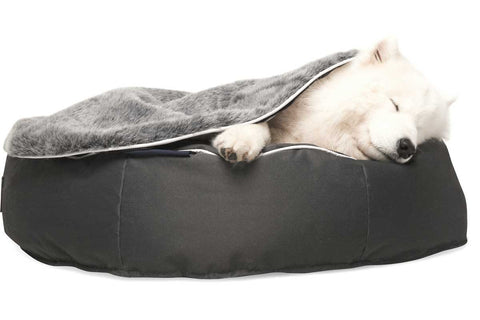 Pet Lounge Dog Bed - Large (In/Outdoor)