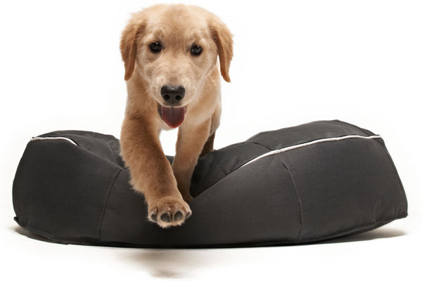 Pet Lounge Dog Bed in Supernova - Faux Fur - Medium (Easy-Clean, Pet-Friendly, In/Outdoor)