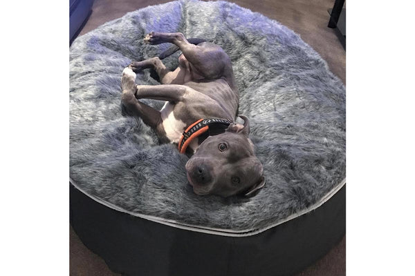 Pet Lounge Dog Bed in Supernova - Faux Fur - Medium (Easy-Clean, Pet-Friendly, In/Outdoor)