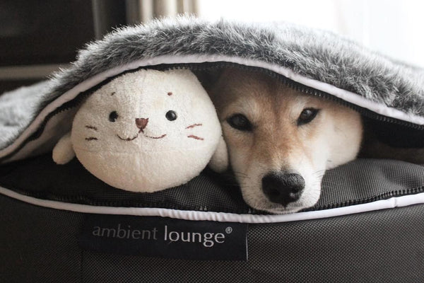 Pet Lounge Dog Bed in Supernova - Faux Fur - Medium (Easy-Clean, Pet-Friendly, In/Outdoor)