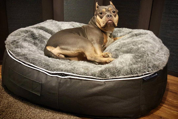Pet Lounge Dog Bed in Supernova - Faux Fur - Medium (Easy-Clean, Pet-Friendly, In/Outdoor)